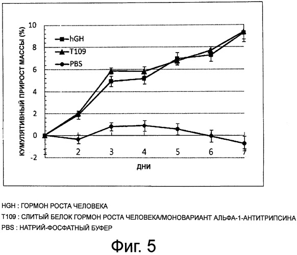 Слитый белок или пептид с увеличенным временем полужизни in vivo, поддерживаемый за счет замедленного высвобождения in vivo, и способ увеличения времени полужизни in vivo с его применением (патент 2503688)