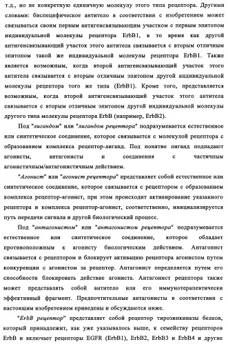 Биспецифические антитела к erb-b и их применение для лечения опухолей (патент 2349340)