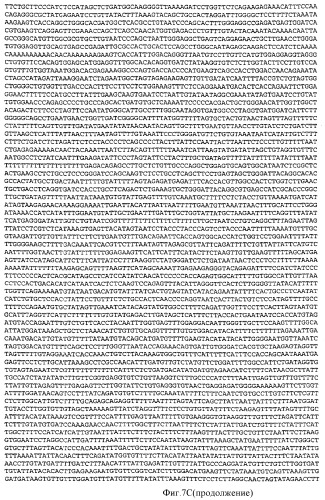 Применение рам (патент 2345785)
