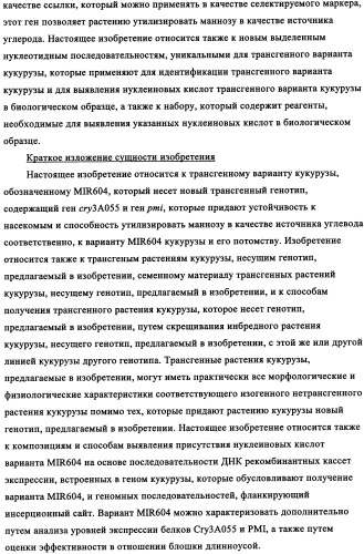 Вариант кукурузы mir604 (патент 2351122)