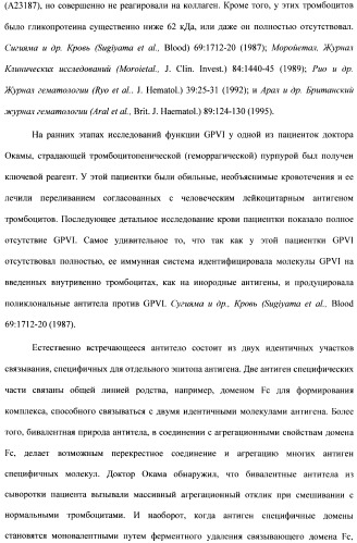Антитела к гликопротеину vi и способы продуцирования и использования этих антител (патент 2407752)