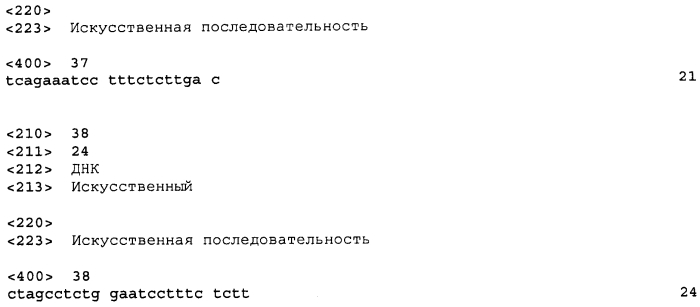 Пептиды foxm1 и вакцины, содержащие их (патент 2560431)