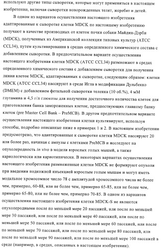 Линии клеток почки собаки майдин-дэрби (mdck), поддерживающие рост вирусов до высоких титров, и способ применения этих клеток в биореакторе (патент 2487935)