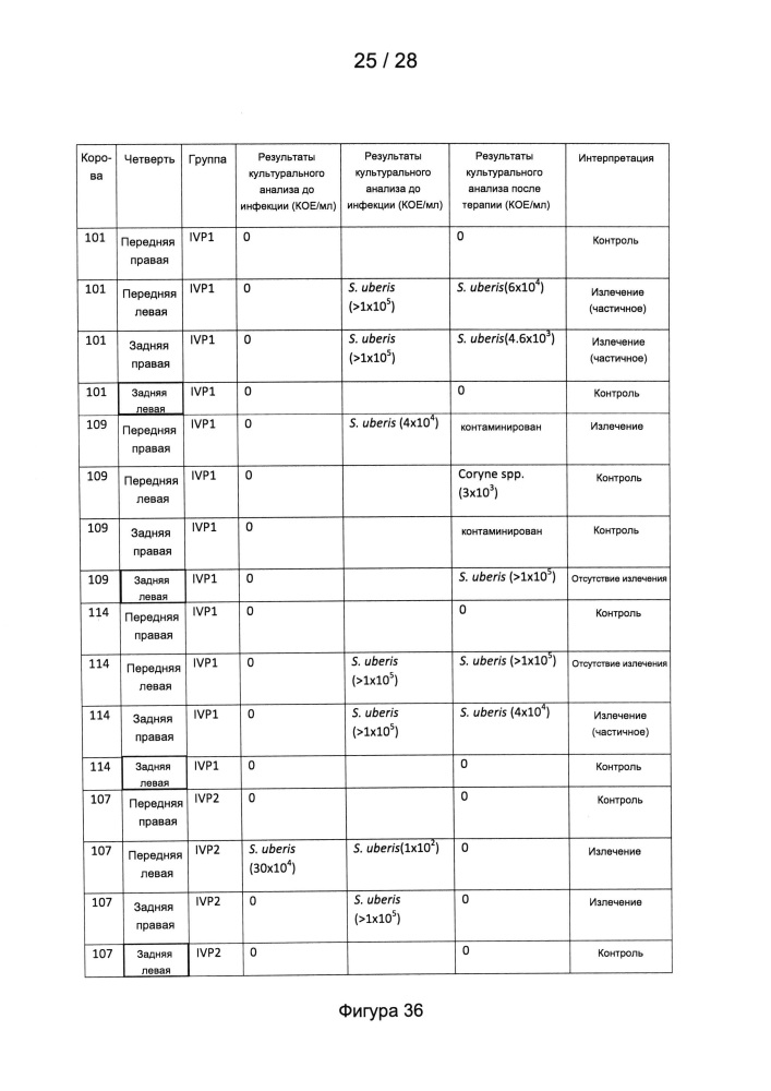 Способы лечения микробных инфекций, в том числе мастита (патент 2662300)