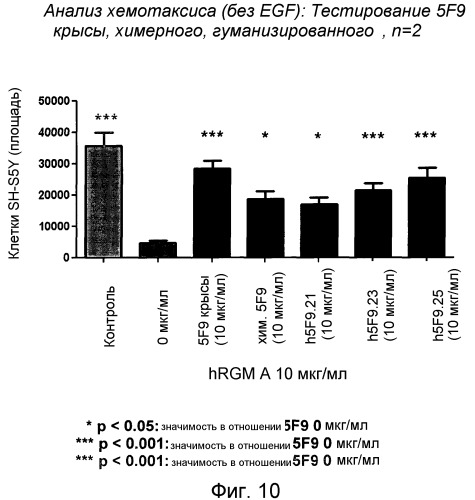 Моноклональные антитела против белка rgm а и их применение (патент 2524136)
