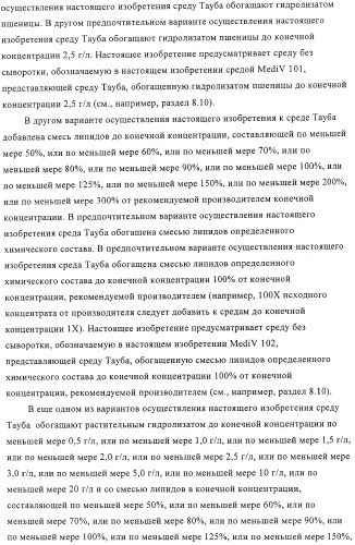 Линии клеток почки собаки майдин-дэрби (mdck), поддерживающие рост вирусов до высоких титров, и способ применения этих клеток в биореакторе (патент 2487935)