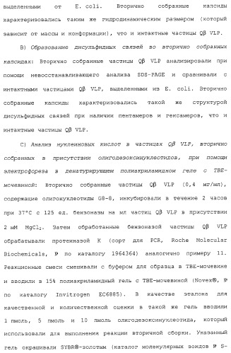 Композиции, содержащие cpg-олигонуклеотиды и вирусоподобные частицы, для применения в качестве адъювантов (патент 2322257)