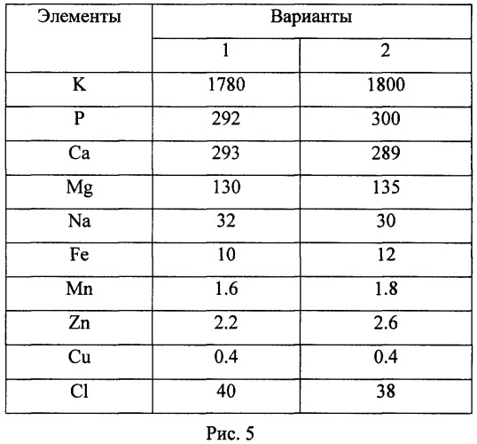 Способ повышения продуктивности и рентабельности выращивания огурца в условиях защищенного грунта на севере (патент 2490868)