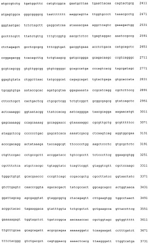 Рекомбинантная плазмида pag85a-cbd, штамм escherichia coli [prep4, pag85a-cbd], химерный белок ag85a-cbd и их применение (патент 2429292)