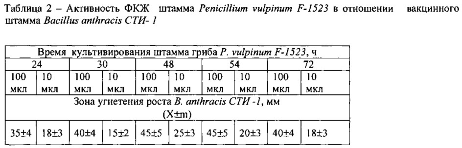 Штамм микромицета penicillium vulpinum f-1523, обладающий антибактериальной активностью в отношении возбудителя сибирской язвы bacillus anthracis (патент 2612150)