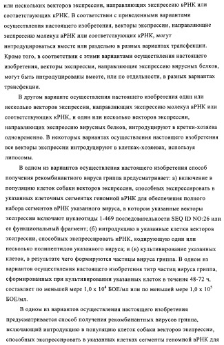 Способы и композиции для экспрессии антисмысловой вирусной рнк в клетках собаки (патент 2457250)