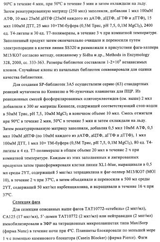 Композиции и способы диагностики и лечения опухоли (патент 2430112)