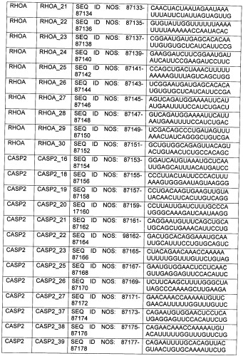 Новые структуры малых интерферирующих рнк (sirna) (патент 2487716)