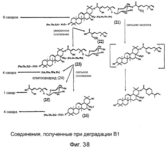 Ингибирование nf- b композициями тритерпенов (патент 2288706)