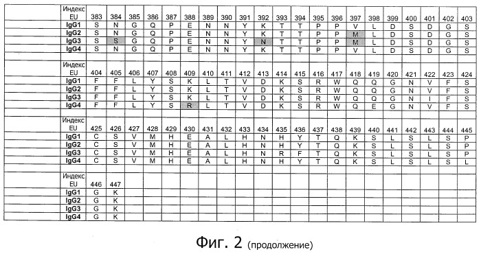 Fc-варианты с измененным связыванием с fcrn (патент 2517621)