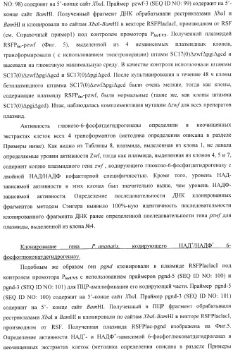Бактерия, принадлежащая к роду pantoea, - продуцент l-аспартата или метаболита, являющегося производным l-аспартата, и способ получения l-аспартата или метаболита, являющегося производным l-аспартата (патент 2411289)
