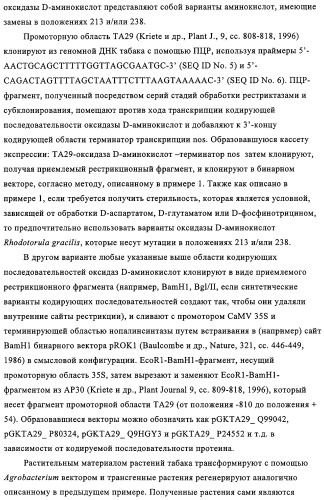 Способ избирательного получения растений с мужской или женской стерильностью (патент 2320722)
