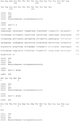 Pscaxcd3, cd19xcd3, c-metxcd3, эндосиалинxcd3, epcamxcd3, igf-1rxcd3 или fap-альфаxcd3 биспецифическое одноцепочечное антитело с межвидовой специфичностью (патент 2547600)