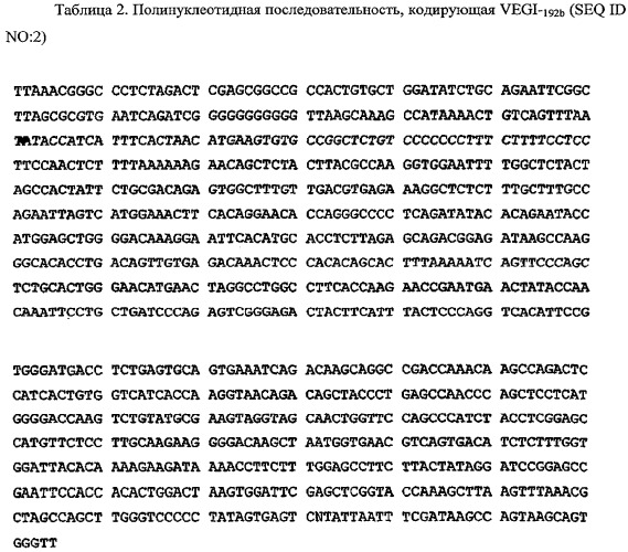 Новые изоформы ингибитора роста васкулярных эндотелиальных клеток (патент 2316591)