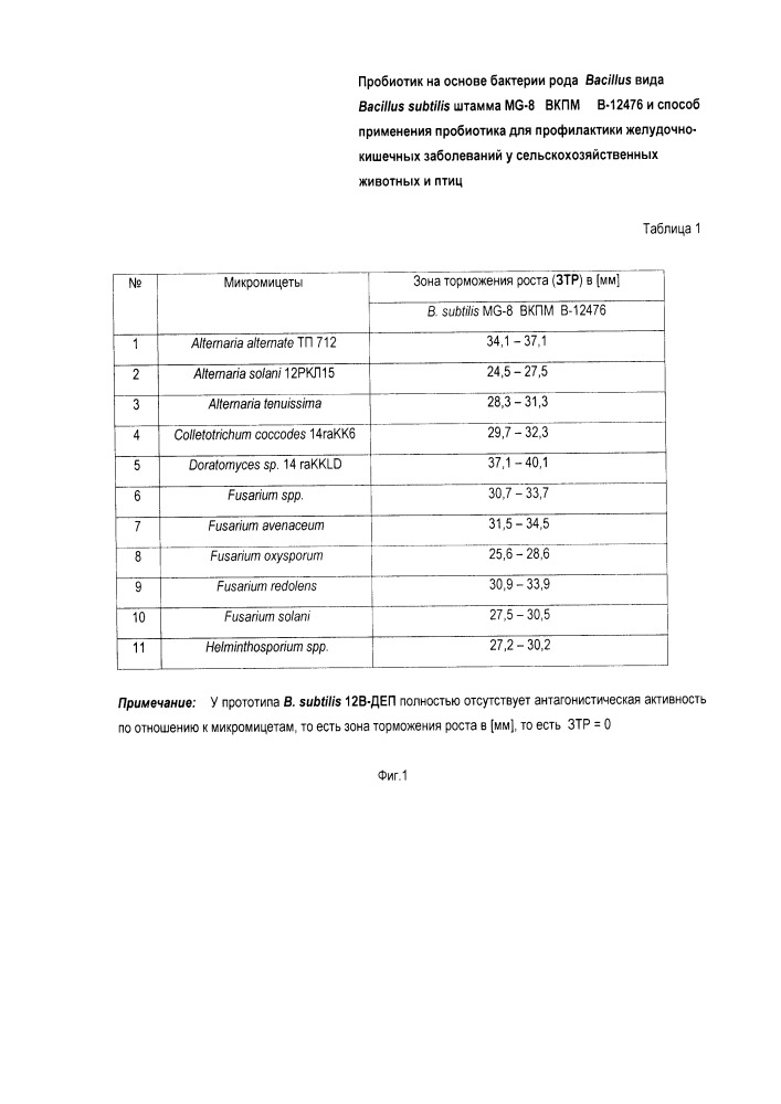 Пробиотик на основе штамма бактерий bacillus subtilis mg-8 вкпм в-12476 и способ применения пробиотика для профилактики желудочно- кишечных заболеваний у сельскохозяйственных животных и птиц (патент 2663720)
