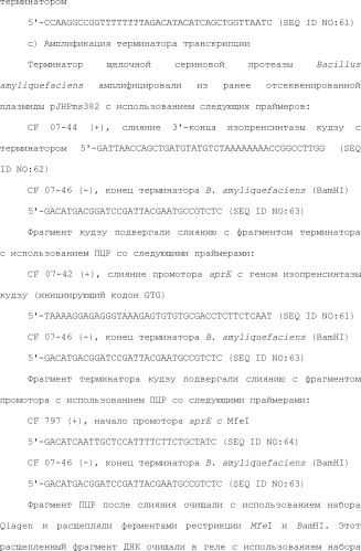 Полимеры изопрена из возобновляемых источников (патент 2505605)