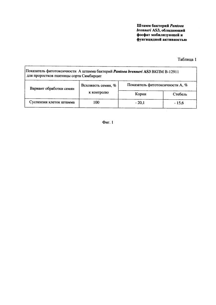 Штамм бактерий pantoea brenneri, обладающий фосфатмобилизующей и фунгицидной активностью (патент 2654595)