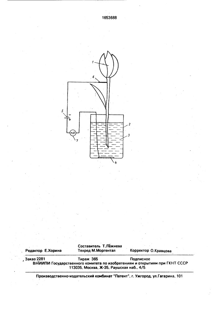 Способ сохранения срезанного цветка (патент 1653688)