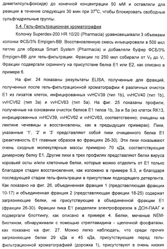 Очищенные белки оболочки вируса гепатита с для диагностического и терапевтического применения (патент 2313363)