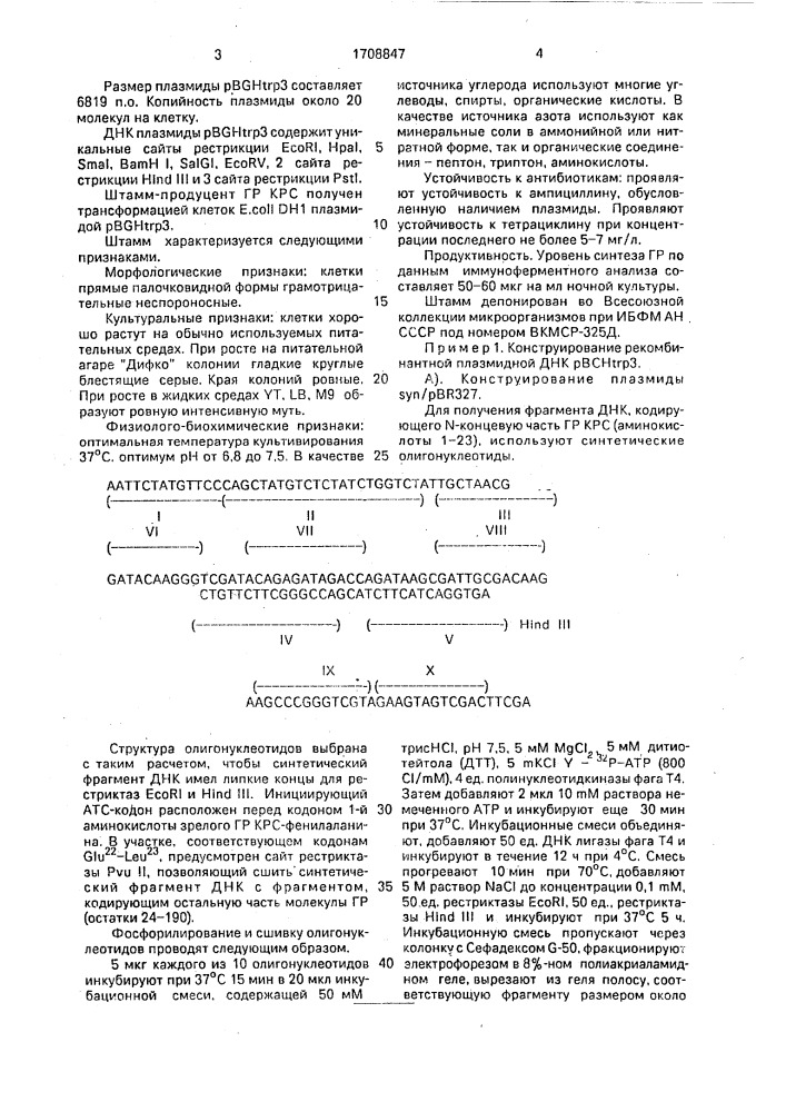 Рекомбинатная плазмидная днк рвgнтrр 3, кодирующая гормон роста крупного рогатого скота, и штамм бактерий еsснеriснiа coli - продуцент гормона роста крупного рогатого скота (патент 1708847)