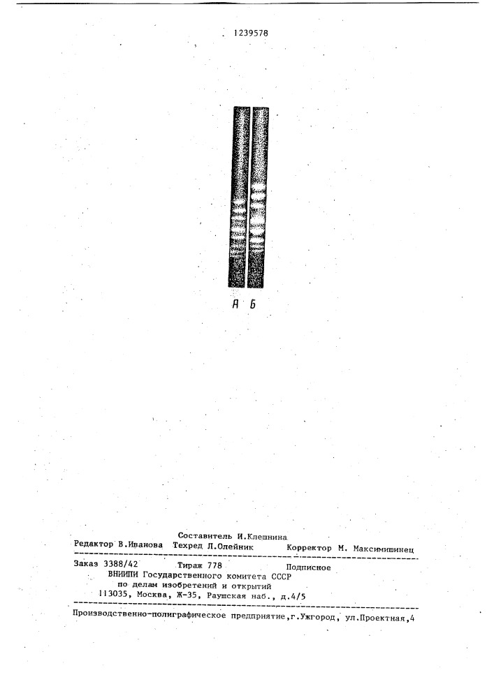 Способ электрофоретического разделения полиионов (патент 1239578)