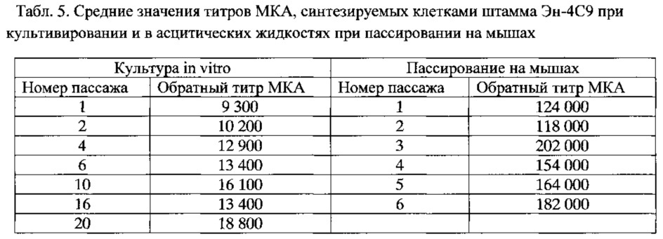 Штамм гибридных культивируемых клеток животных mus musculus l. - en-4c9 - продуцент моноклональных антител против эндоглина (cd105) человека (патент 2607029)