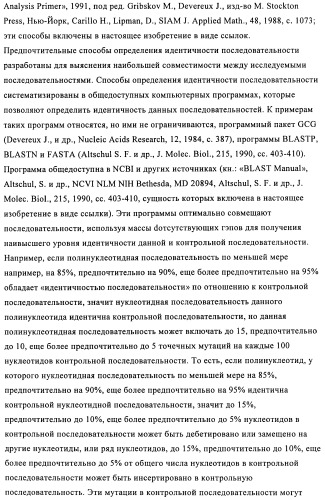 Поливалентные иммуногенные композиции pcv2 и способы получения таких композиций (патент 2488407)