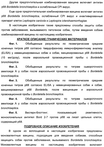 Поливалентные вакцины для собак против leptospira bratislava и других патогенов (патент 2400248)