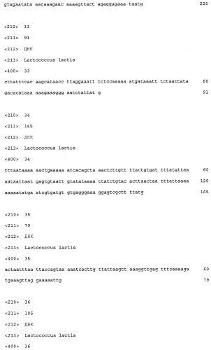 Промоторы lactococcus и их применение: (патент 2495129)