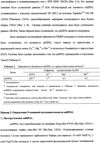 Новая альдолаза, днк, кодирующая альдолазу, клетки, трансформированные днк, способ получения альдолазы и способ получения 4-гидрокси-l-изолейцина (варианты) (патент 2338784)