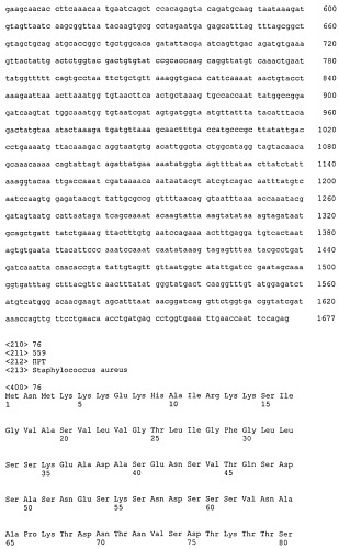 Иммуногенные композиции антигенов staphylococcus aureus (патент 2536981)