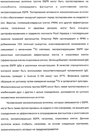 Человеческие моноклональные антитела к рецептору эпидермального фактора роста (egfr), способ их получения и их использование, гибридома, трансфектома, трансгенное животное, экспрессионный вектор (патент 2335507)