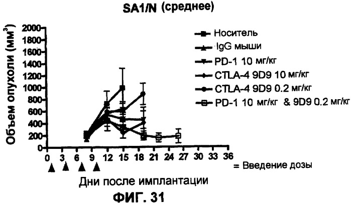 Моноклональные антитела человека к белку программируемой смерти 1 (pd-1) и способы лечения рака с использованием анти-pd-1-антител самостоятельно или в комбинации с другими иммунотерапевтическими средствами (патент 2406760)