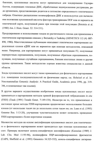 Растения, имеющие улучшенные характеристики роста, и способы их получения (патент 2463352)