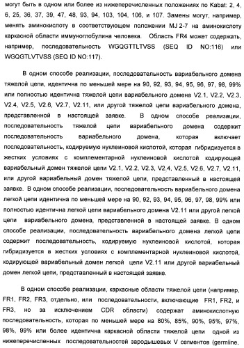 Il-13 связывающие агенты (патент 2434881)