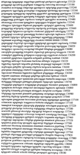 Модуляция экспрессии гентингтина (патент 2562861)