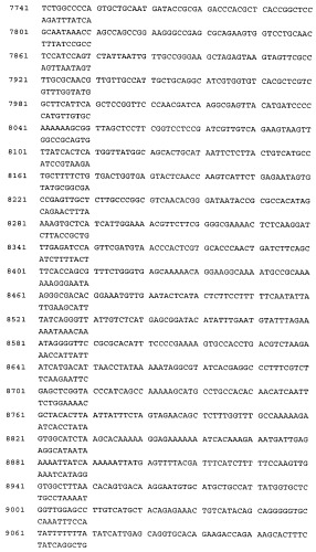 Связывающие молекулы, обладающие терапевтической активностью (патент 2386639)