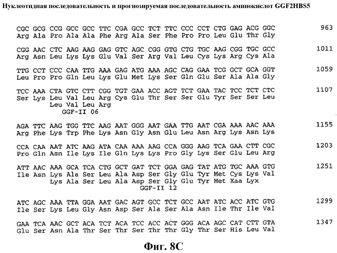 Применение пептида ggf2 в лечении или профилактике сердечной недостаточности у млекопитающего (патент 2536938)