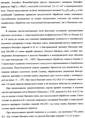 Способ возделывания яровой пшеницы предпочтительно в зоне светло-каштановых почв нижнего поволжья (варианты) (патент 2348137)