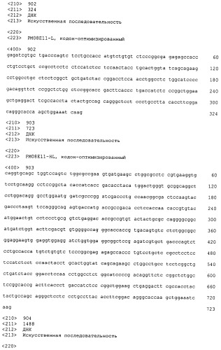 Psma×cd3 биспецифическое одноцепочечное антитело с межвидовой специфичностью (патент 2559531)