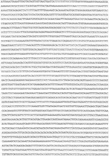 Применение s1p (патент 2362565)