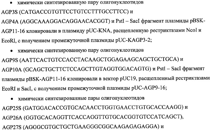 Ген agрopt ангиопоэтина-1 (патент 2385938)