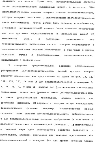 Ее3-семейство белков и соответствующие днк-последовательности (патент 2333918)