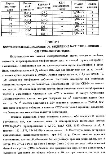 Связывающие протеины, специфичные по отношению к инсулин-подобным факторам роста, и их использование (патент 2492185)