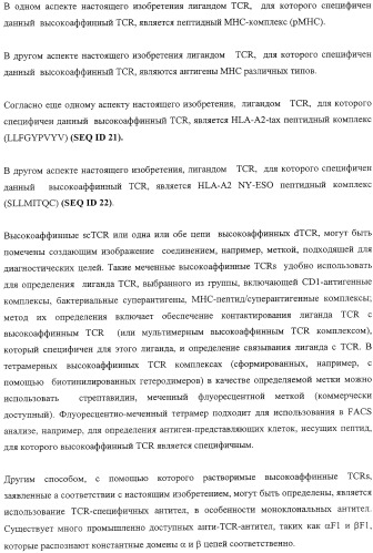 Экспонирование т-клеточных рецепторов (патент 2346004)